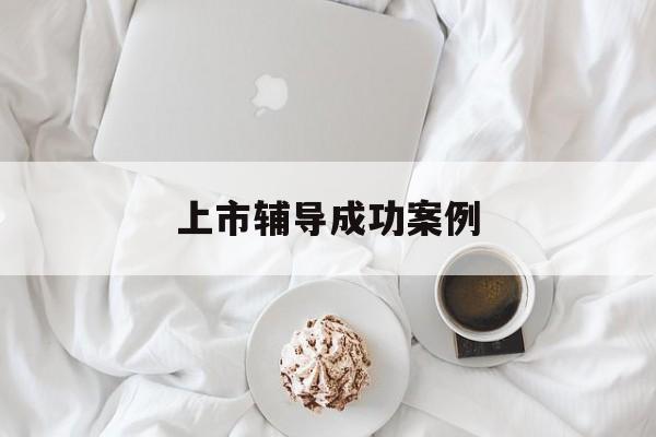 上市辅导成功案例(上市辅导成功后肯定会上市吗)泸州市 上市辅导成功案例(上市辅导成功后肯定会上市吗)泸州市